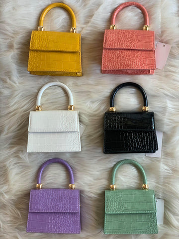 "Essentials Only" Mini Handbag