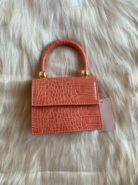 "Essentials Only" Mini Handbag
