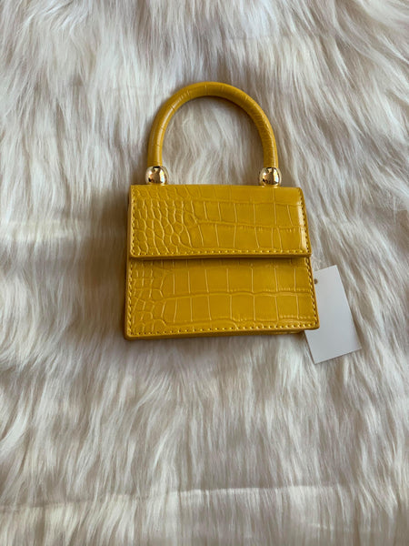 "Essentials Only" Mini Handbag